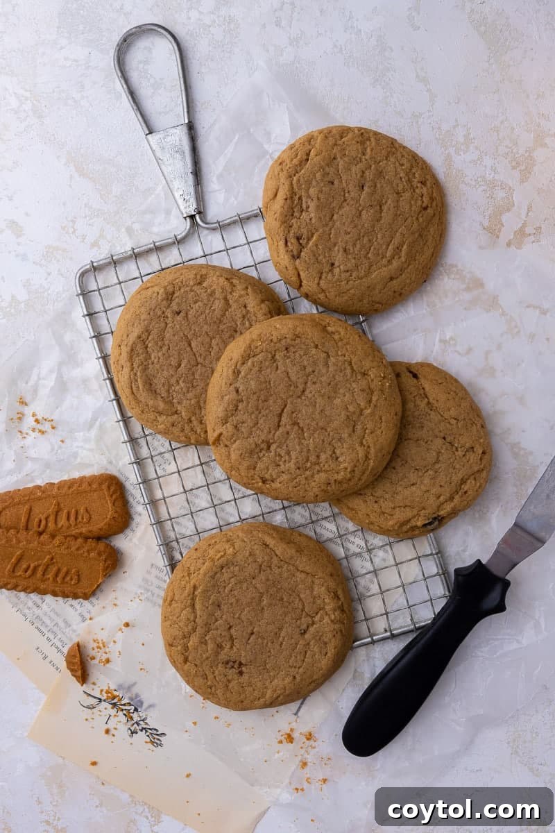 Crumbl's Chilled Cookie Butter Ice Cream Cookies 8 Freshly baked, unfrosted brown sugar cookies on a cooling rack.
