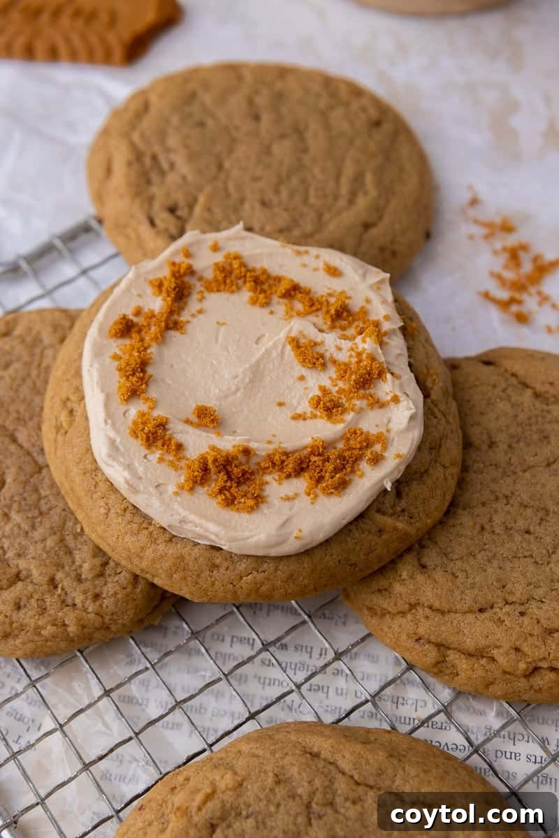Crumbl's Chilled Cookie Butter Ice Cream Cookies 10 Finished brown sugar cookies generously frosted with cookie butter buttercream.