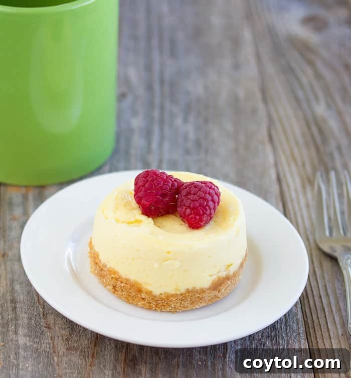 Creamy microwave cheesecake for one