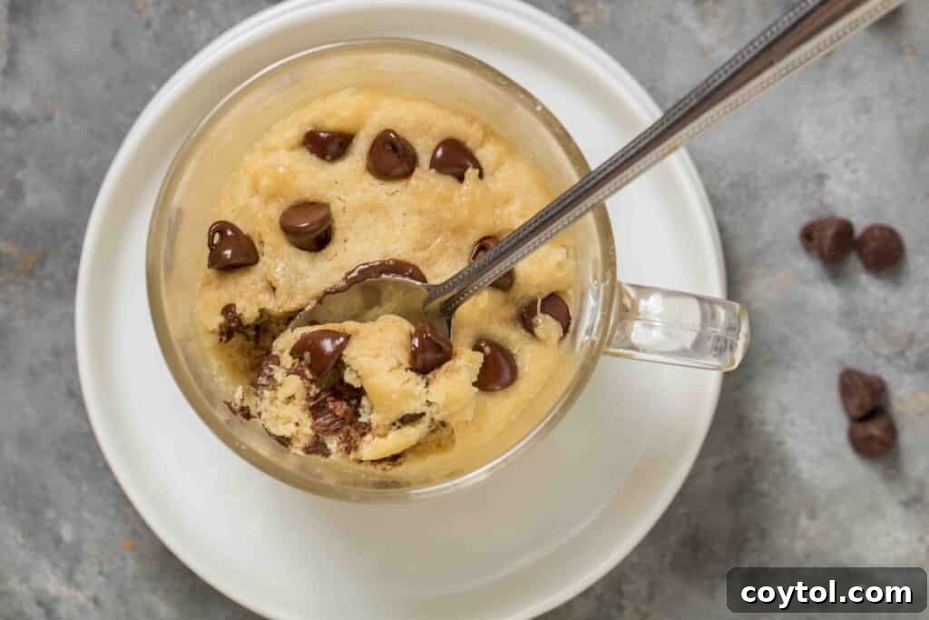 Close-up of a healthy microwave vegan chocolate chip cookie for one