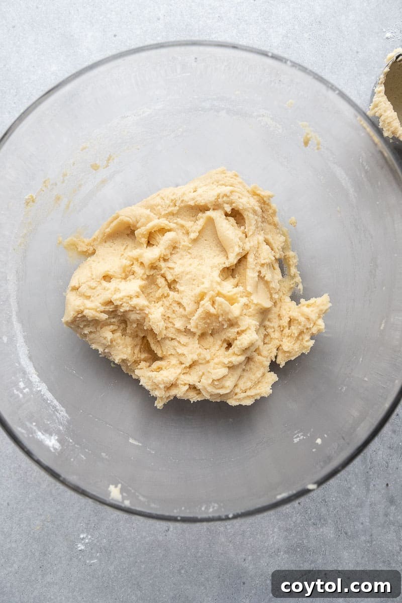 Vanilla cookie dough in a mixing bowl
