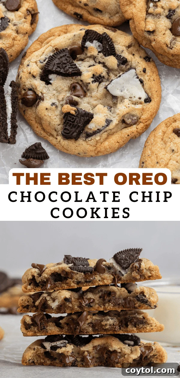 Oreo chocolate chip cookies 