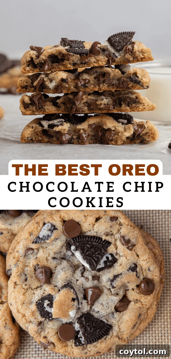 Oreo chocolate chip cookies 