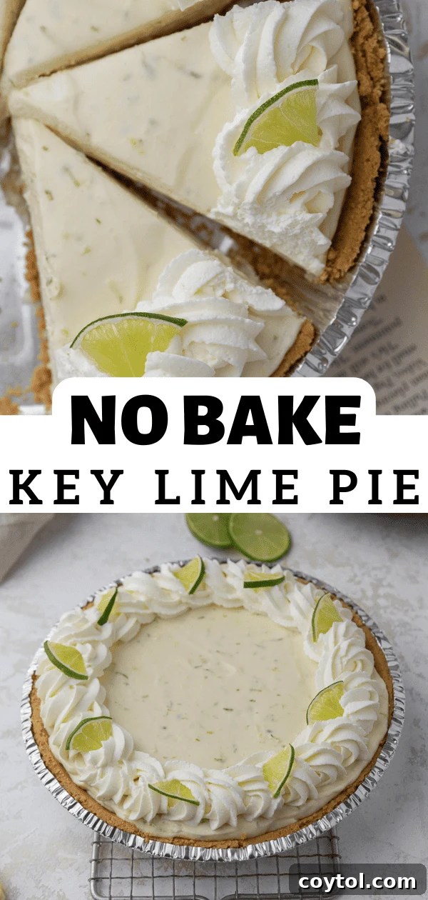Key lime pie with whipped cream and lime slices, a tall, vibrant shot