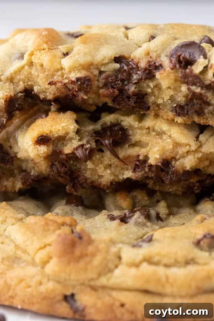 The Ultimate Single Serve Chocolate Chip Cookie Recipe 11 Close up of chocolate chip cookies with melted chocolate