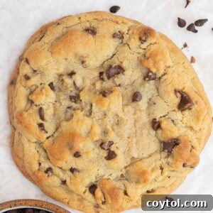 The Ultimate Single Serve Chocolate Chip Cookie Recipe 12 Chocolate chip cookie for one