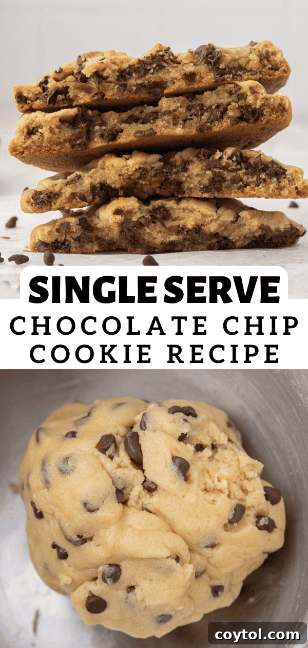 The Ultimate Single Serve Chocolate Chip Cookie Recipe 14 Pin for single serve chocolate chip cookies with a bite taken