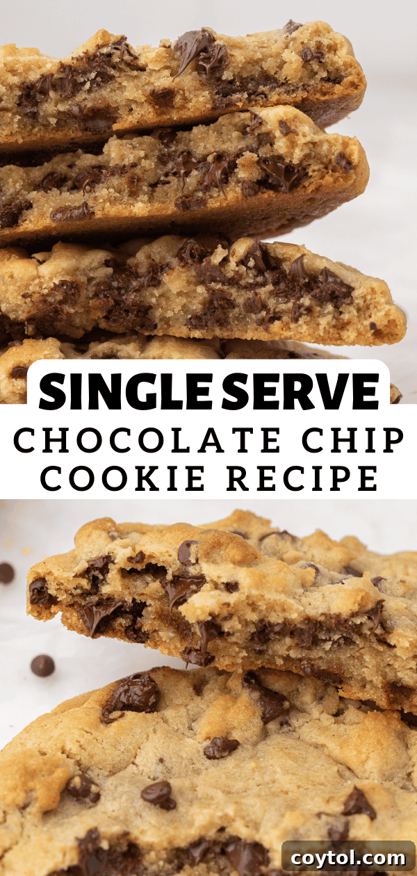 The Ultimate Single Serve Chocolate Chip Cookie Recipe 15 Pin for single serve chocolate chip cookies on a plate with milk
