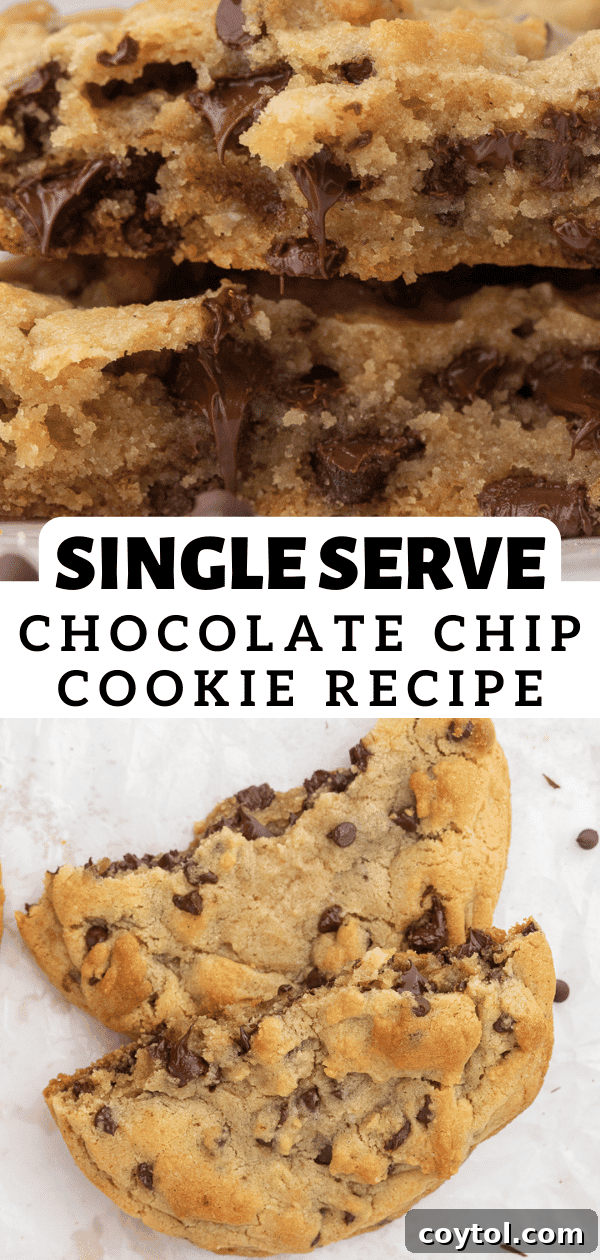 The Ultimate Single Serve Chocolate Chip Cookie Recipe 16 Pin for single serve chocolate chip cookies, close up of chocolate chips