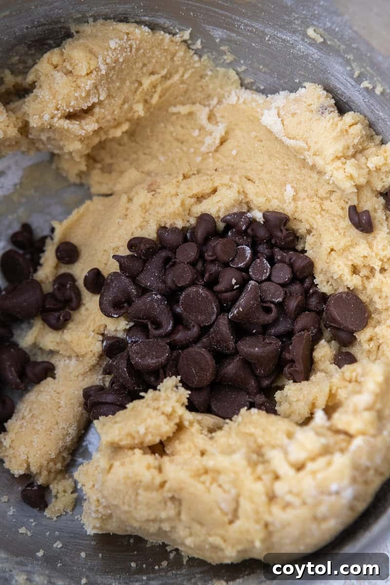 The Ultimate Single Serve Chocolate Chip Cookie Recipe 7 Close-up of chocolate chip cookie dough being mixed