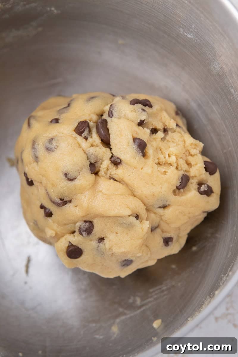The Ultimate Single Serve Chocolate Chip Cookie Recipe 8 A bowl of ready-to-bake chocolate chip cookie dough