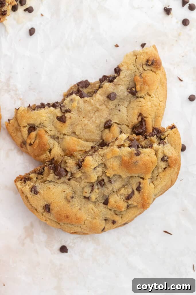 The Ultimate Single Serve Chocolate Chip Cookie Recipe 10 Overhead view of a perfectly baked chocolate chip cookie