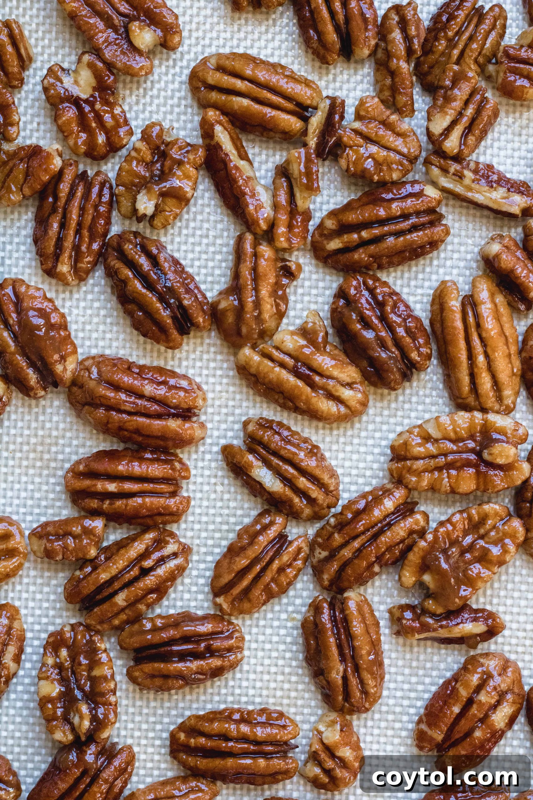 Candied pecans spread evenly on a parchment-lined baking sheet, sprinkled with sea salt, cooling.