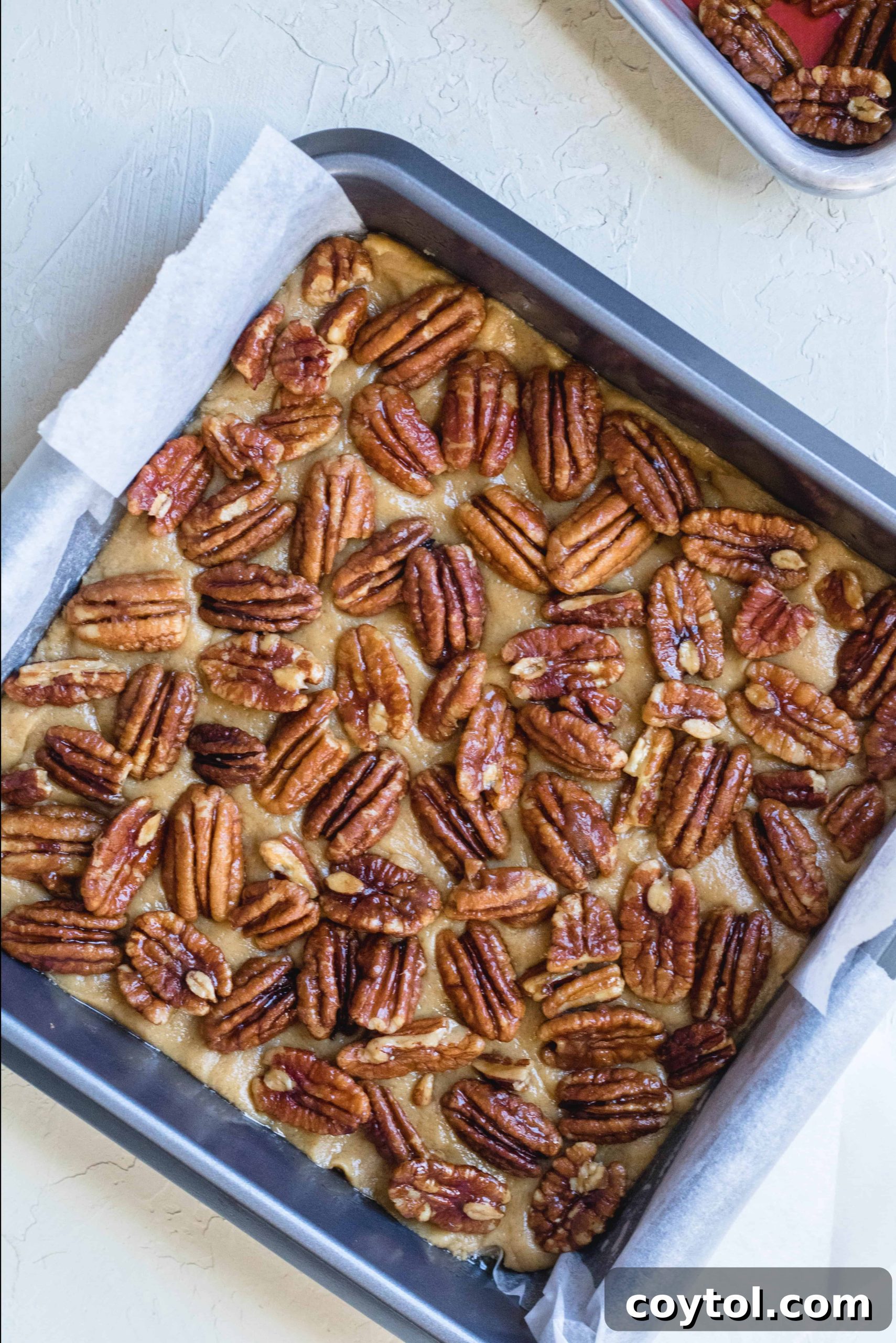 Brown butter blondie dough topped with candied pecans, pressed in lightly before baking.