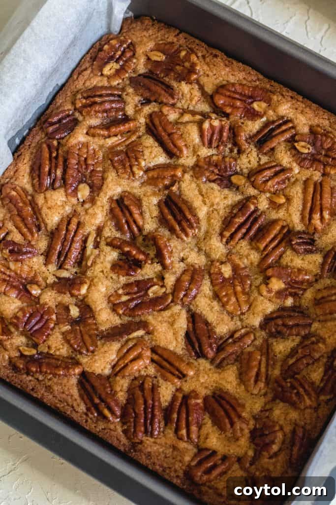 Freshly baked pecan brown butter blondies, golden brown and perfectly set, cooling in the pan.