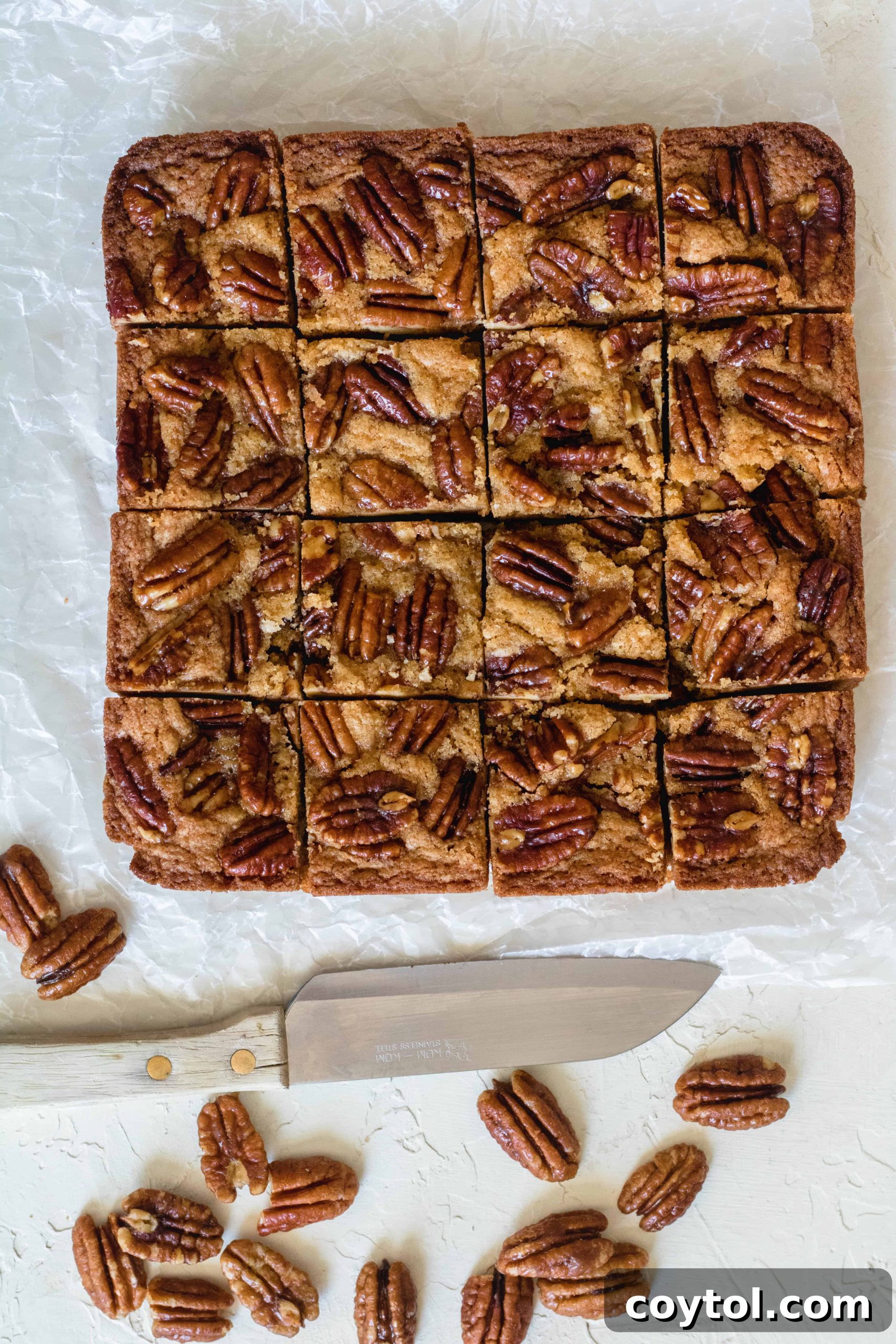 Perfectly sliced brown butter blondies, showcasing their dense, chewy texture and even distribution of pecans.