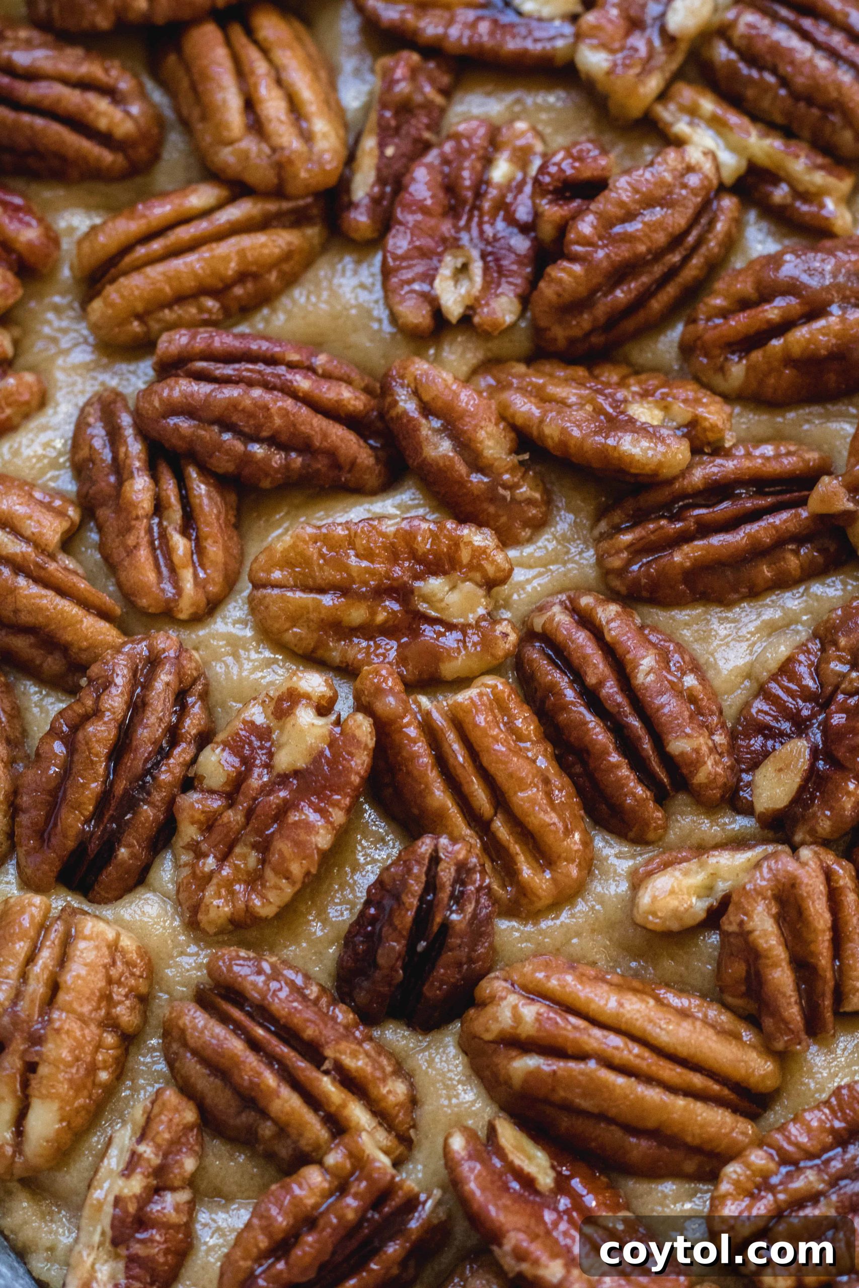 Close-up of brown butter candied pecan blondies showcasing the candied pecan topping and moist interior.