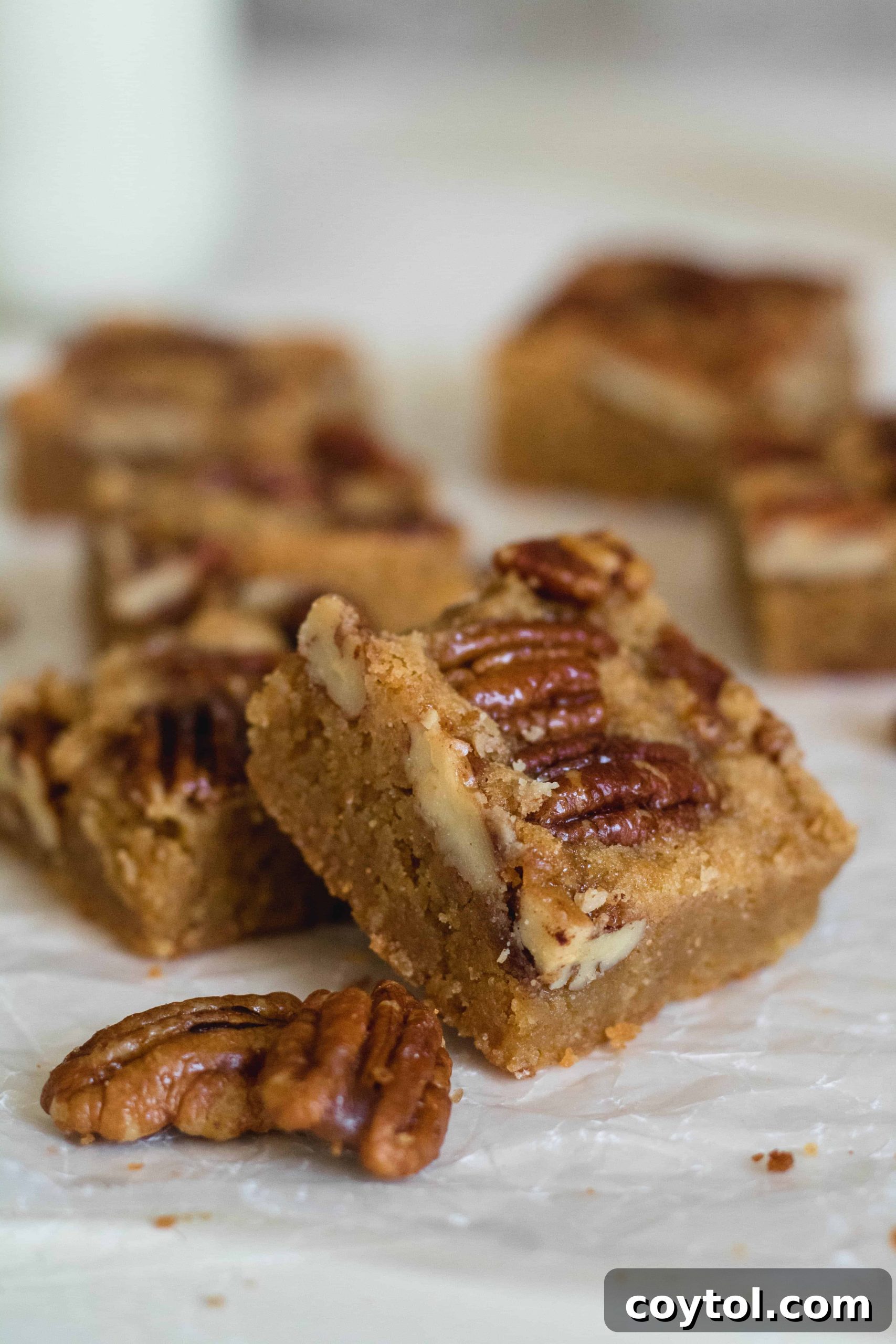 Close-up of a blondie slice, revealing a dense, super buttery center and a rich, golden texture, answering the question: what is a blondie?