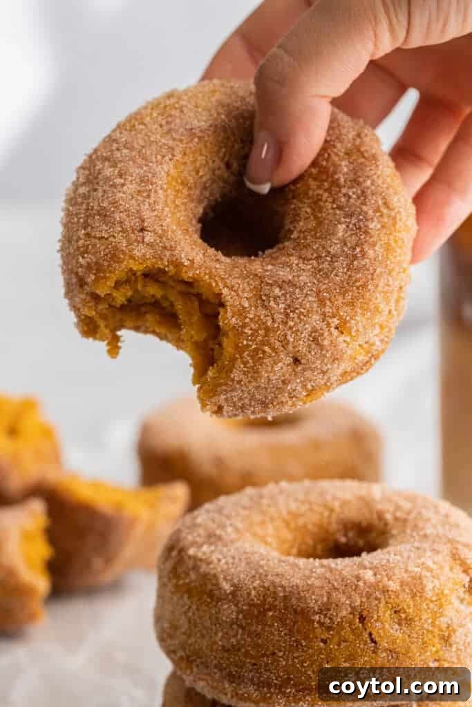 Pumpkin spice donut held by a hand
