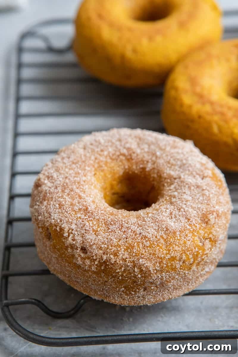 Pumpkin spice donuts 