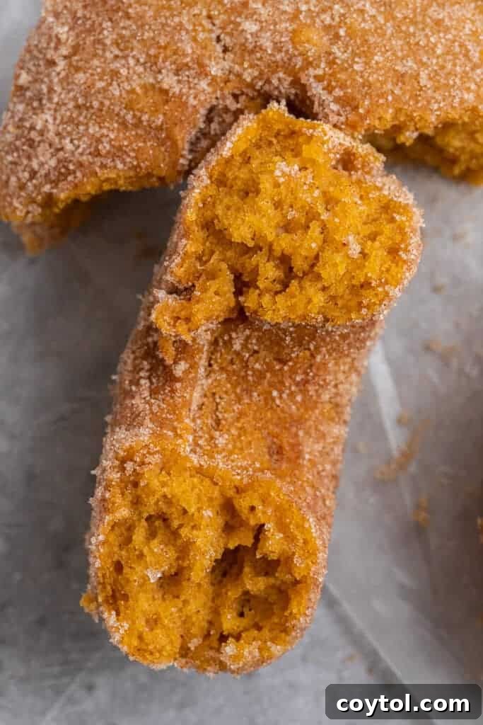 Pumpkin spice donut broken in half