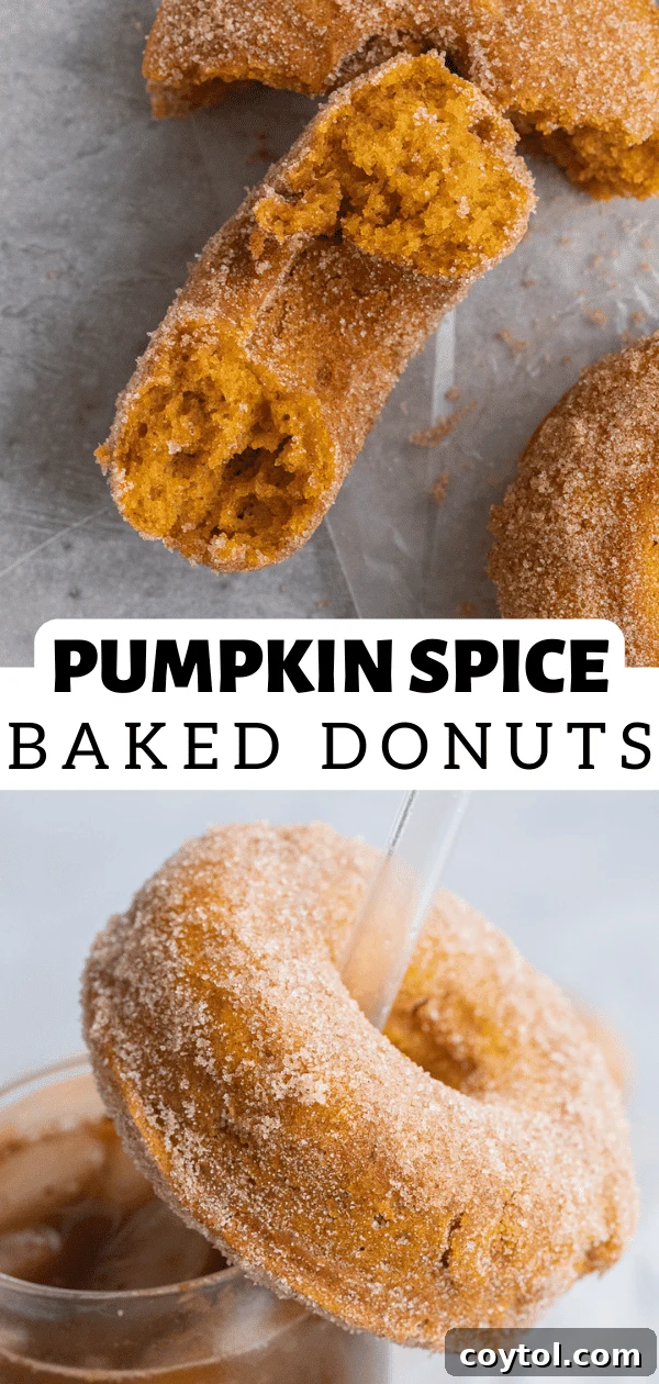 pumpkin spice donuts