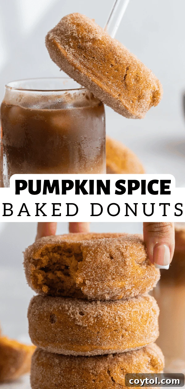 pumpkin spice donuts