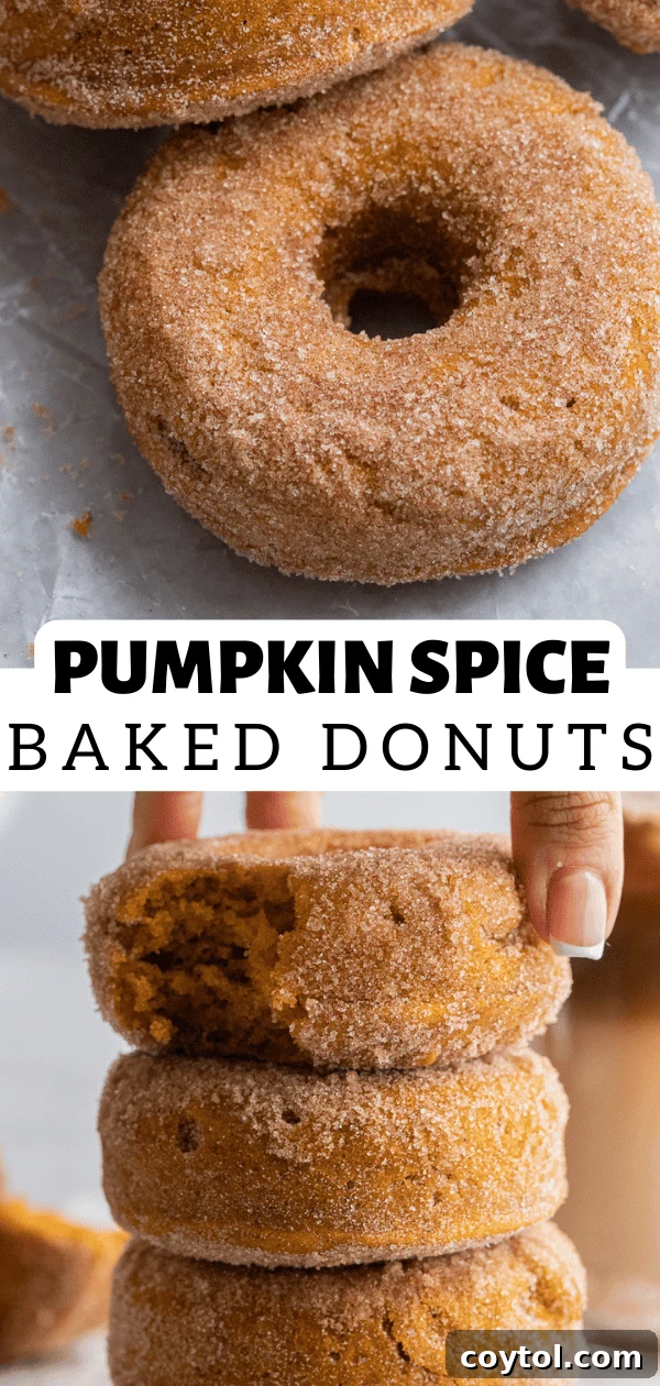 pumpkin spice donuts