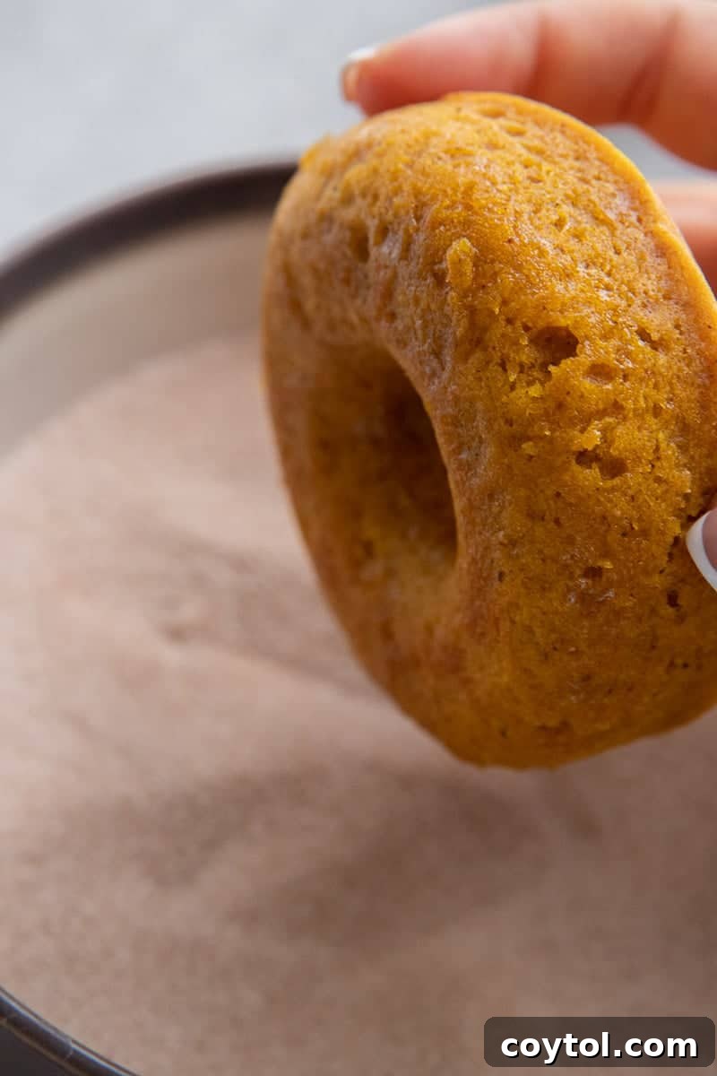 Donut dipped in sugar cinnamon mixture