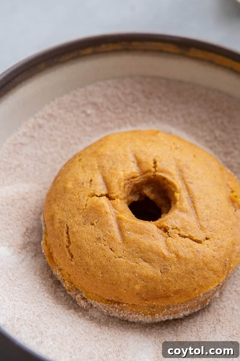 Donut dipped in sugar cinnamon mixture