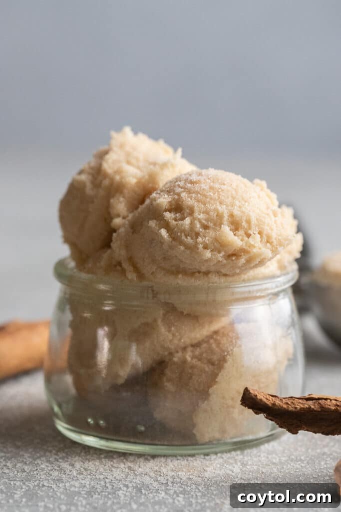 Delicious edible snickerdoodle cookie dough ready to eat