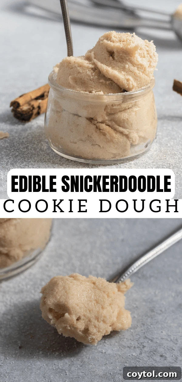 Close-up of edible snickerdoodle cookie dough