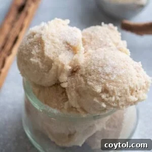 Edible snickerdoodle cookie dough