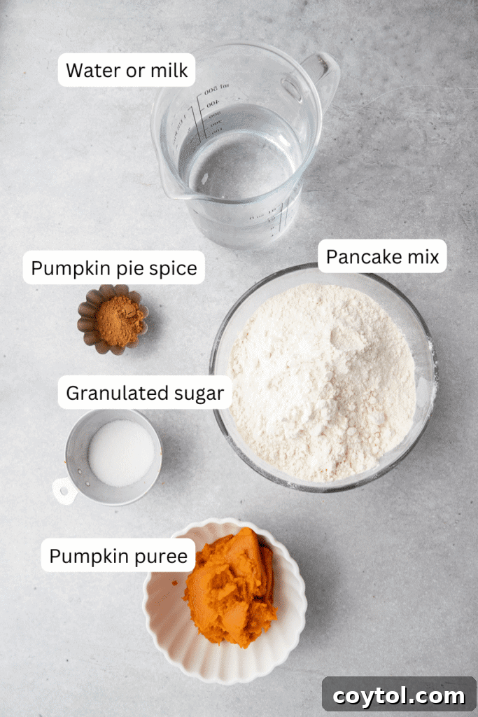 Essential ingredients for fluffy pumpkin pancakes laid out on a wooden table: pancake mix, sugar, pumpkin puree, pumpkin pie spice, vanilla extract, and milk.