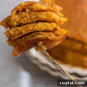 Fluffy pumpkin pancakes made with pancake mix, drizzled with syrup and topped with whipped cream.