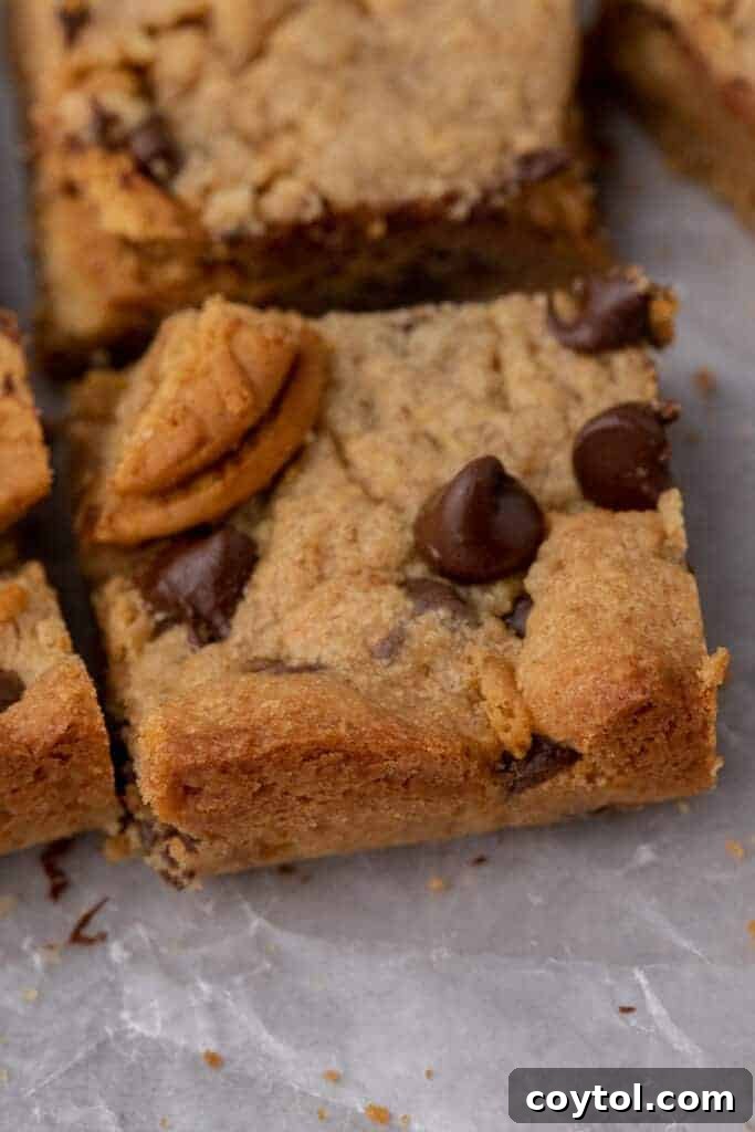 A single slice of Nutter Butter cookie bar, perfectly cut, revealing its chewy interior and chocolate chips.