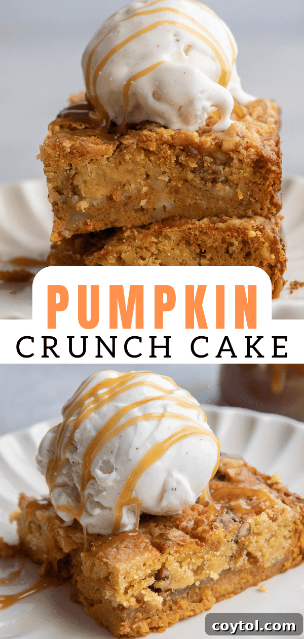 Pumpkin dump cake 