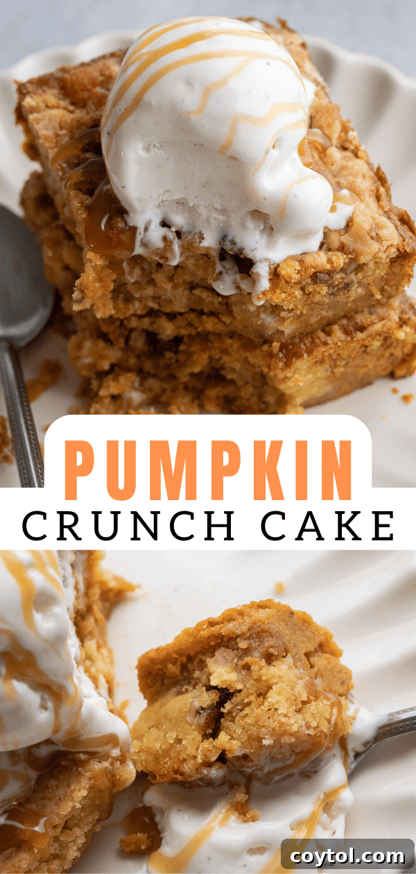 Pumpkin crunch cake 