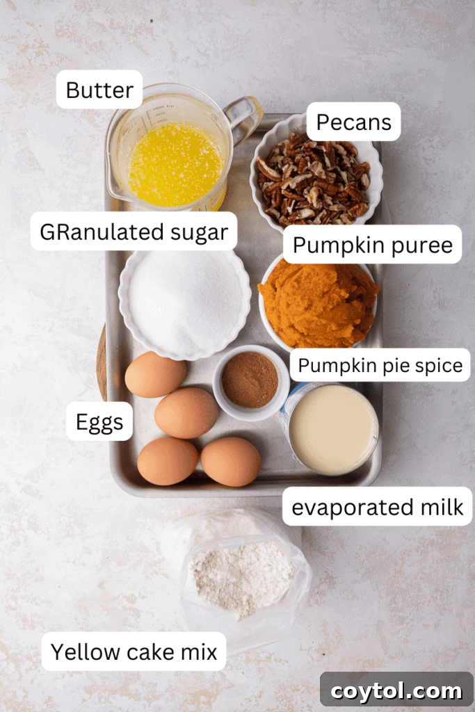 Ingredients on the counter