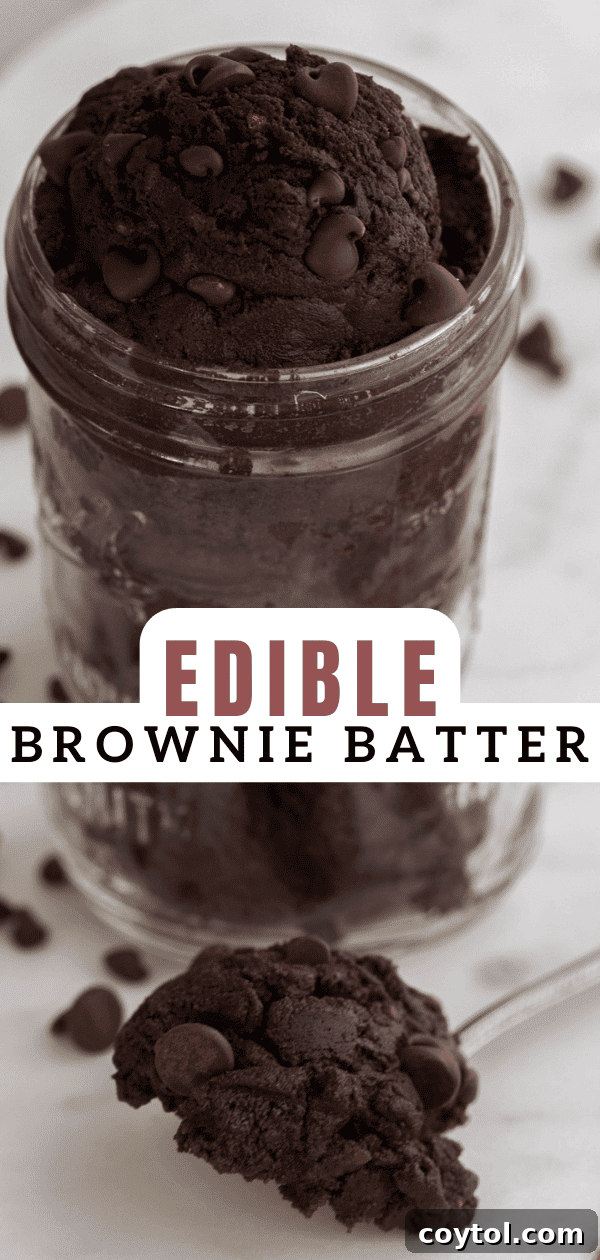 Another styled image of edible brownie batter for social sharing