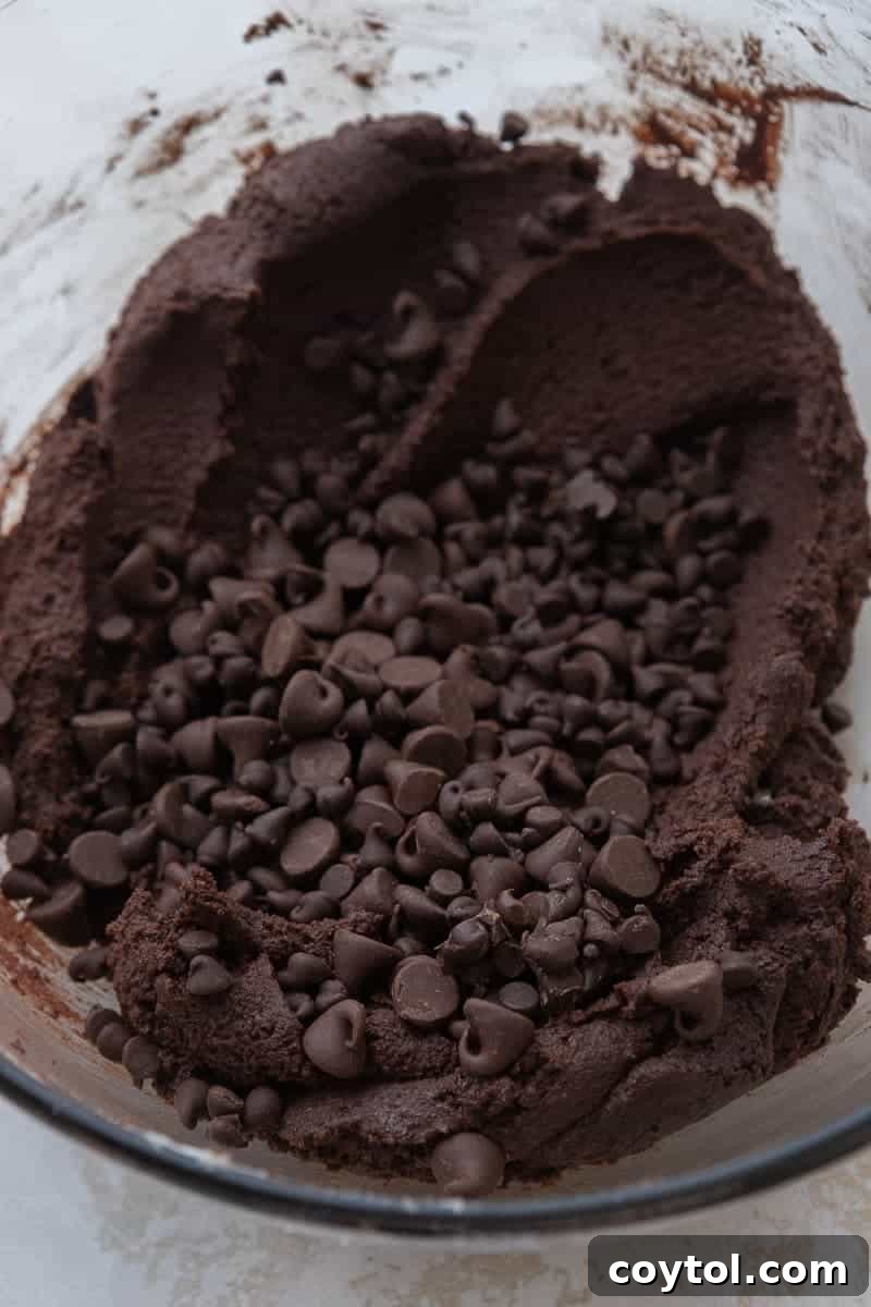 Brownie batter with chocolate chips mixed in a bowl
