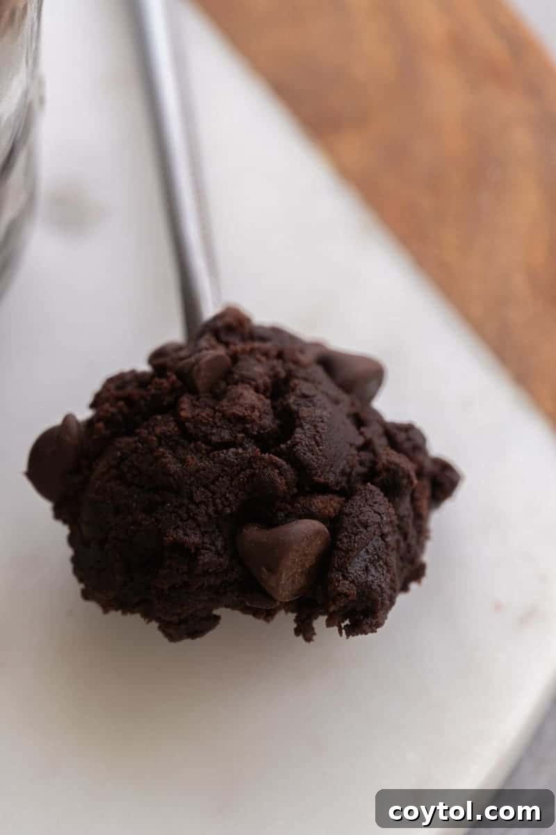 Spoonful of edible brownie batter, showing its rich texture