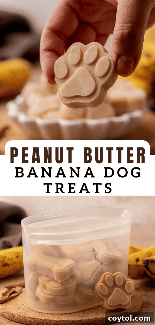 Peanut Butter Banana Pupsicles for Dogs 12 Vertical Pinterest pin image for Frozen Peanut Butter Banana Dog Treats featuring paw-shaped treats