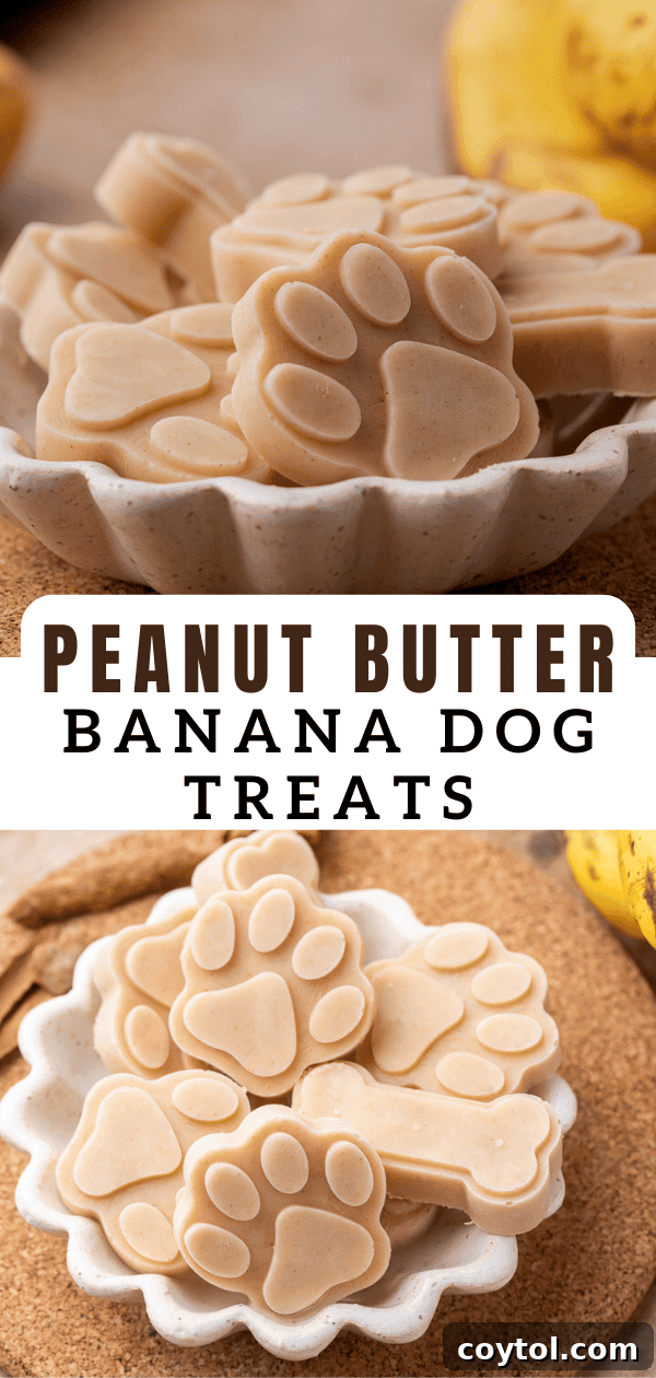 Peanut Butter Banana Pupsicles for Dogs 13 Vertical Pinterest pin image for Easy Homemade Frozen Dog Treats with bananas and peanut butter
