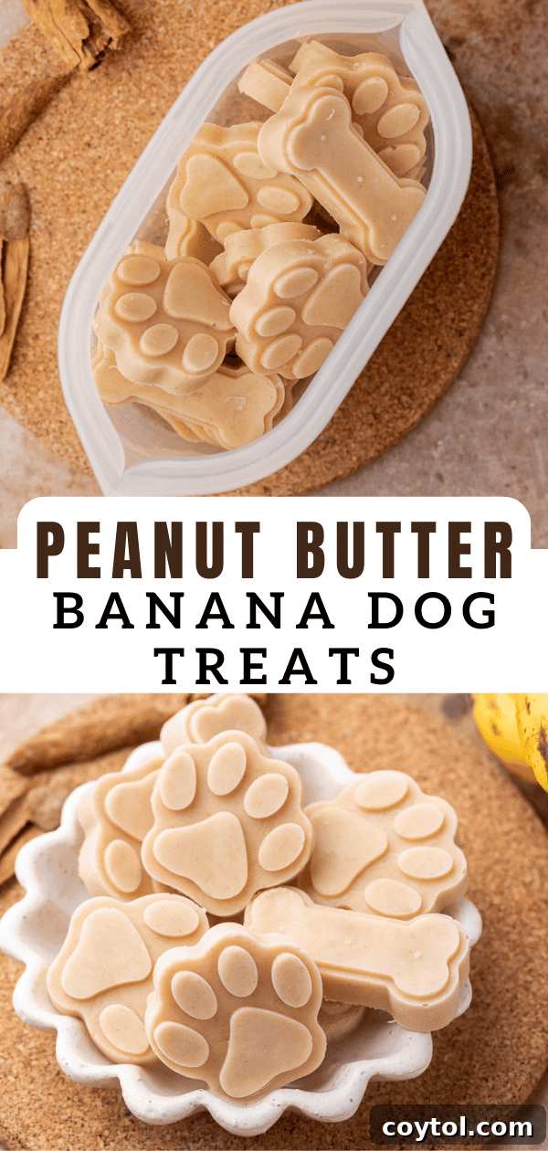 Peanut Butter Banana Pupsicles for Dogs 14 Vertical Pinterest pin image for Healthy Cooling Dog Treats with a focus on fresh ingredients