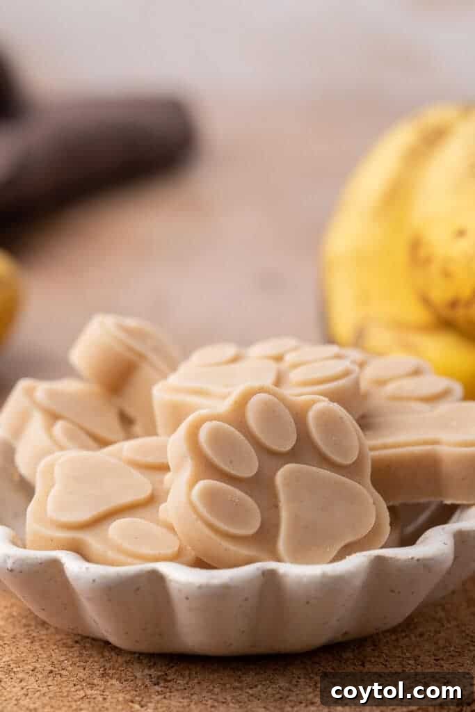 Peanut Butter Banana Pupsicles for Dogs 4 Assorted frozen peanut butter banana dog treats in cute paw and bone shapes