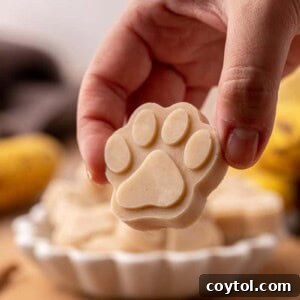 Peanut Butter Banana Pupsicles for Dogs 10 A hand holding a single frozen paw-shaped dog treat
