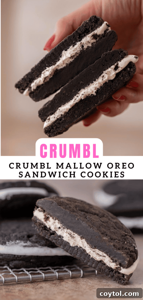 Crumbl's Mallow Oreo Dream Sandwich 16 Crumbl mallow sandwich