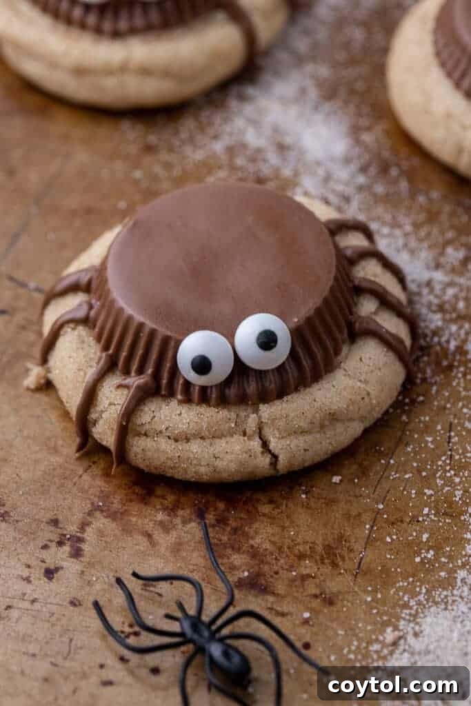 Spooky spider cookie - a delicious snickerdoodle cookie topped with a Reese's peanut butter cup, candy eyeballs, and chocolate spider legs for Halloween.