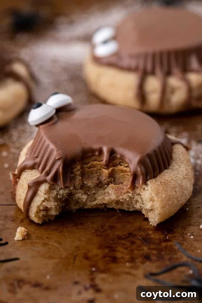 Spider cookie with a bite taken out of it, showing the soft interior and peanut butter cup.